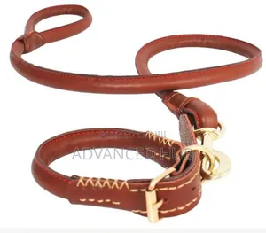 Complete Easy Grip Leather Dog Colar and Leash