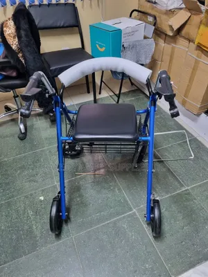 Patient Rollator
