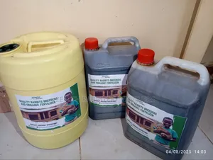 Pure Rabbit Urine for Sale