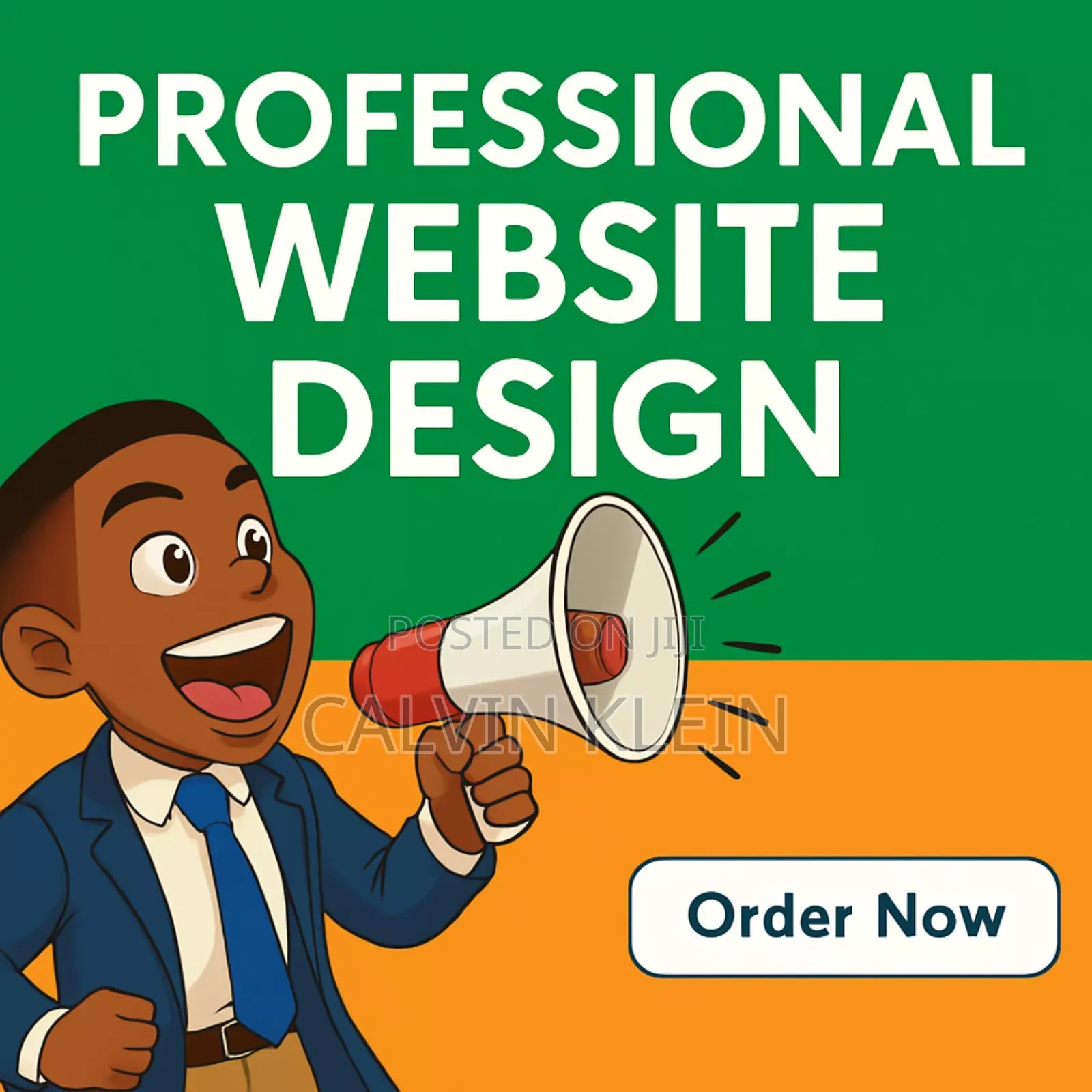 Professional Website Design