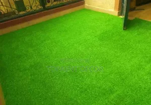 House Entrance Green Artificial Grass Carpet