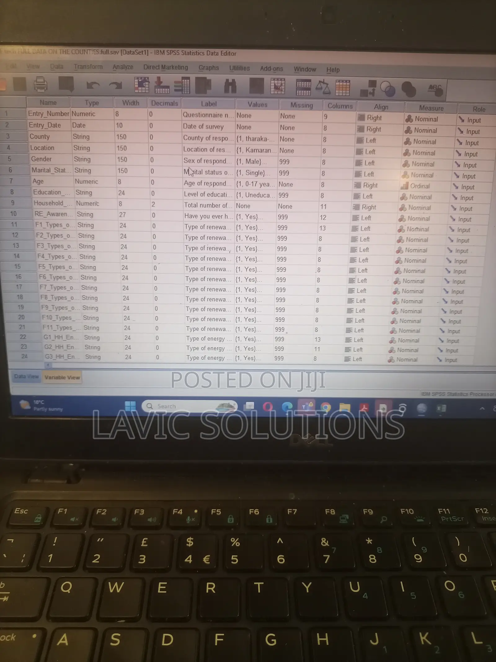 Professional Data Analysis, Excel,Spss,Stata And Others
