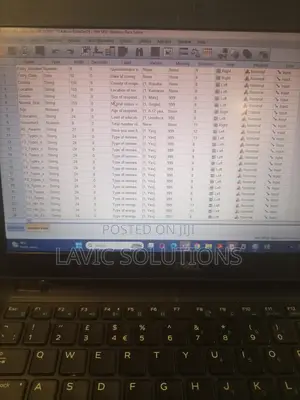 Professional Data Analysis, Excel,Spss,Stata And Others
