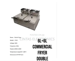 Double Chips Fryer 12l