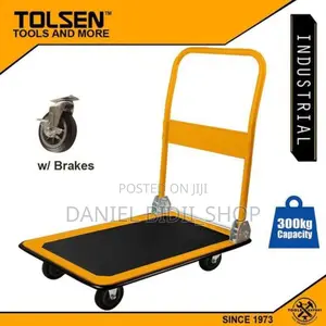 Tolsen Pallet Trolley
300kgs