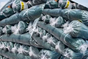 Strong Scaffold Net