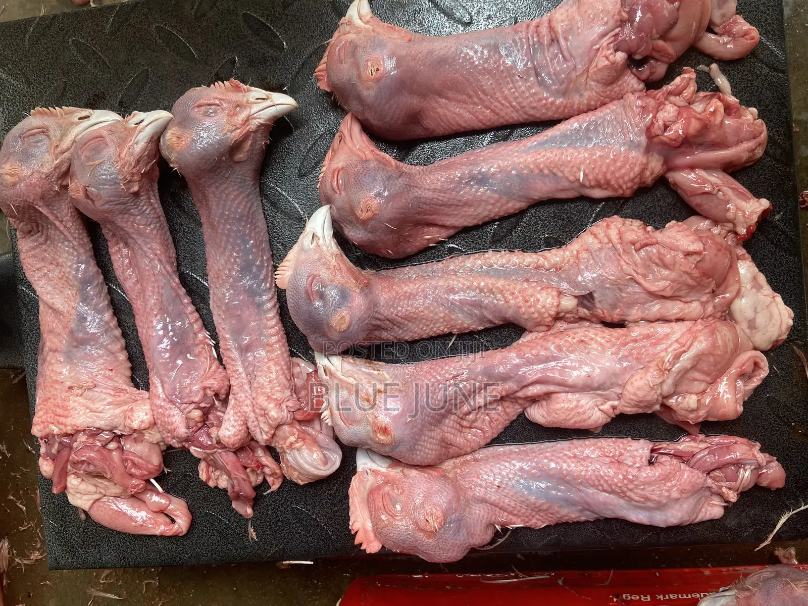Chicken Heads With Necks