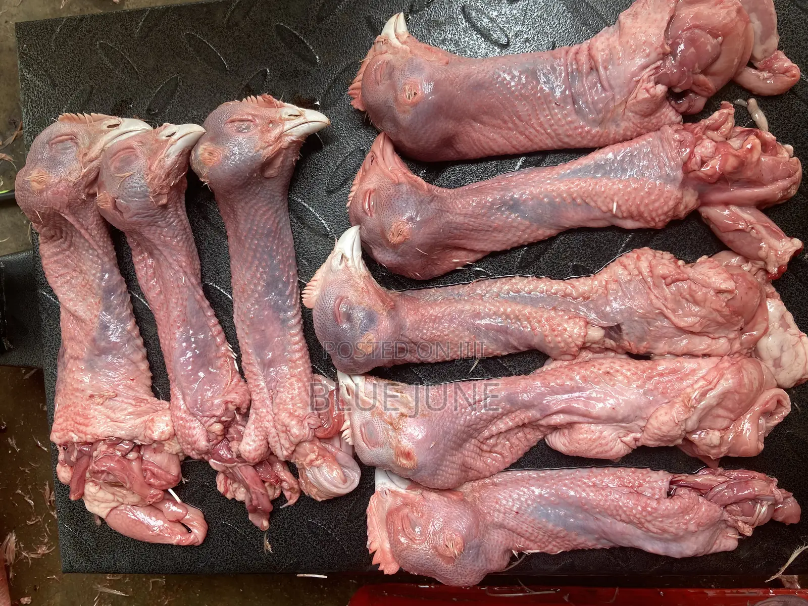 Chicken Heads With Necks