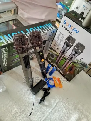 Wireless Microphone Pair