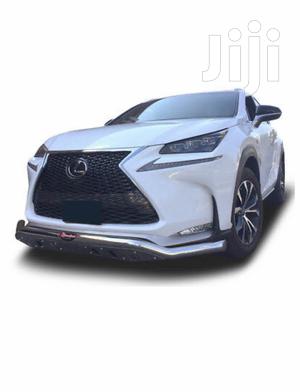 Nudgebar Lexus Bullbar