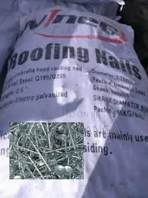 Umbrella Head Roofing Nails(25kg Pack)