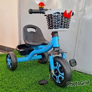 Tricycle With Basket