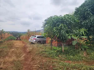 Kiangwaci 1.5 Acres