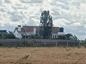 2 Plots of 50 X 100 for Sale