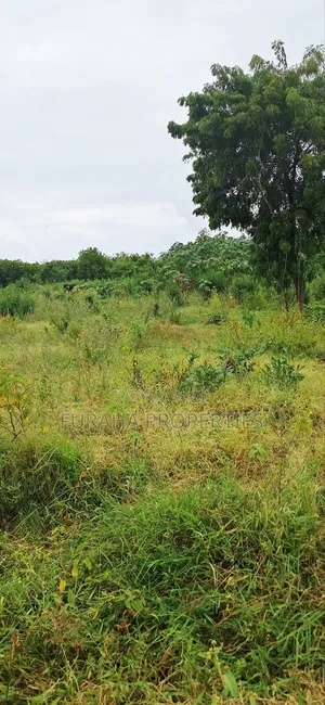 For Sale 4 Acre Prime Land Vipingo