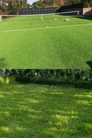 Green All Year Zero Maintenance Football Field Grass