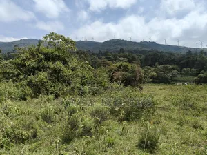 Half Acre Plot in Ngong Nalepo, Kahara Road With Scenic View