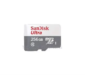 Sandisk Microsd Class 10 100mbps 256gb Without Adapter