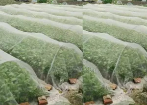 High Quality/Density Isect Net Shade