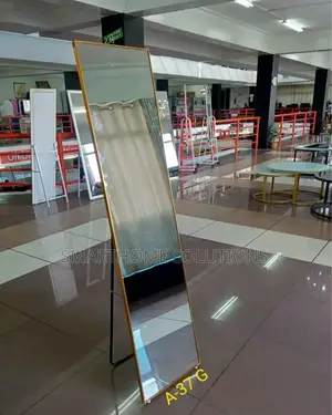 ••Generic Free Standing/ Full Length Dressing Mirrors