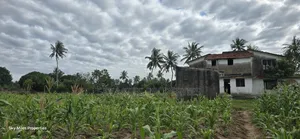6-Acre Parcel for Sale – Bomani, Kilifi County