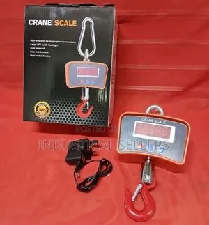 500kg Digital Weighing Scale / Crane Scale