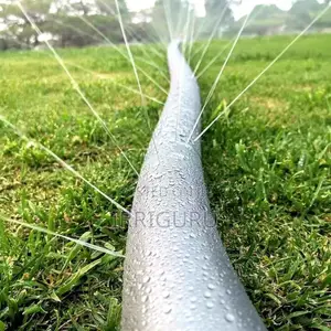 Rainhoses -