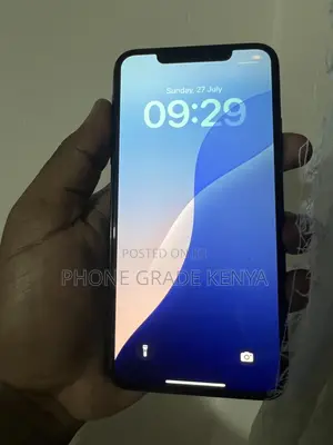 Apple iPhone 11 Pro Max 256 GB Black