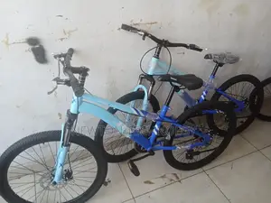 Mountain Bike Size 24