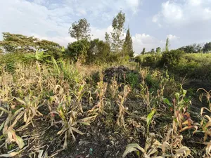 Eighth Acre Plot for Sale in Ngong, Olkeri 50 Meters From Tarmac
