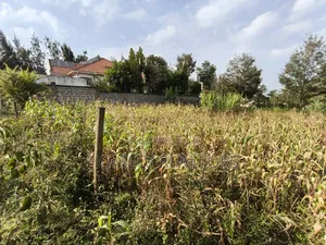 Residential Eighth Acre Plot on Sale in Ngong, Matasia Near Tarmac