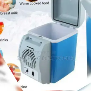 Mini Car Fridge