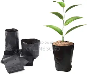 Biodegradable/Compostable Nursery Plastic Planting Seedling Bag-100 Pc