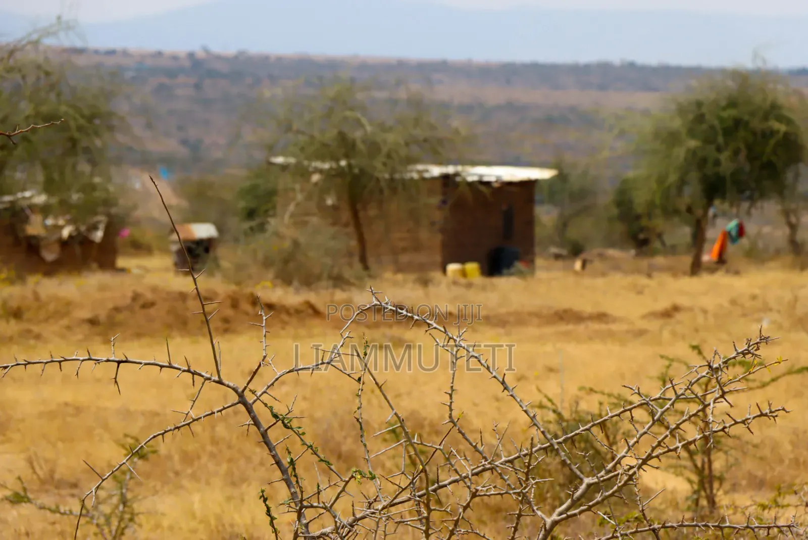 Affordable Plots in Konza