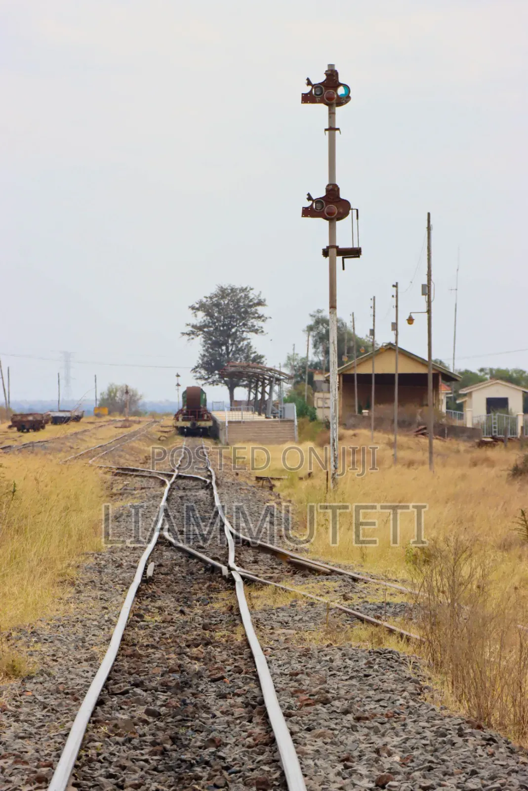 Affordable Plots in Konza