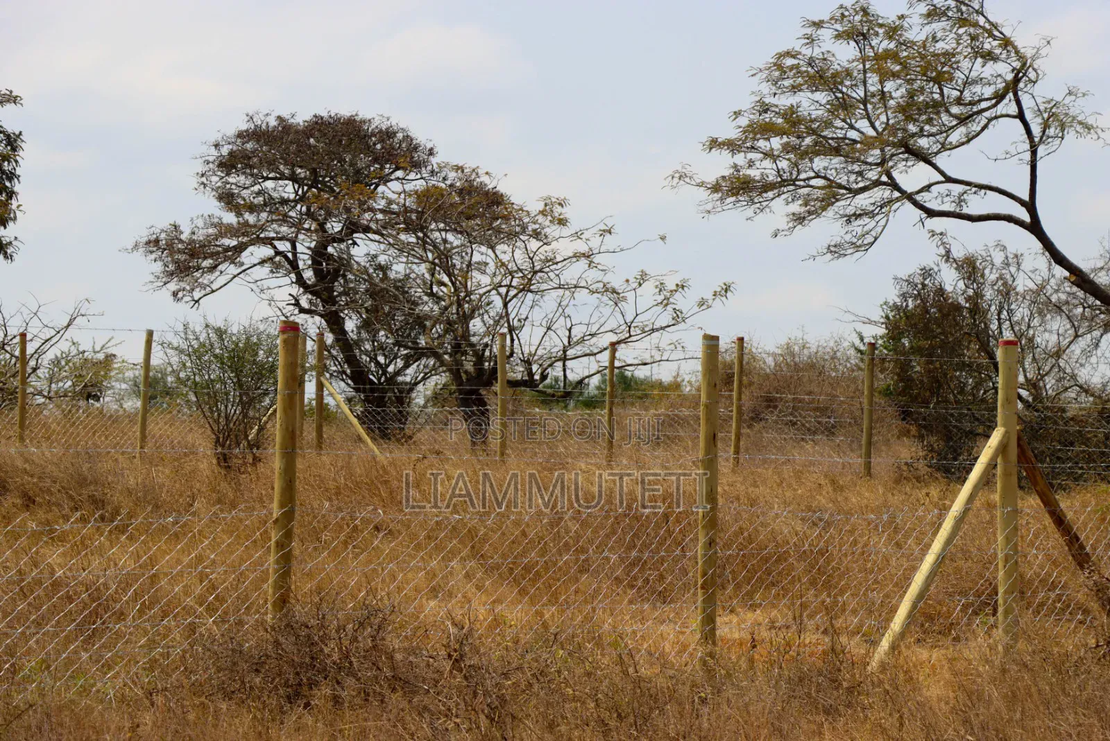 Affordable Plots in Konza