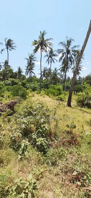 For Sale Quater Acre Plot Kikambala