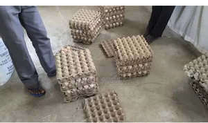Improved Kienyeji Fertilized Eggs Available