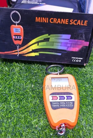 Crane Scale / Digital Crane Scale 200kg