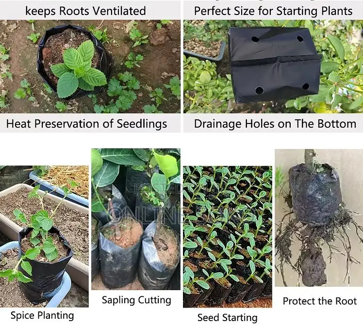 Biodegradable/Compostable Nursery Plastic Planting Seedling Bag-100 Pc
