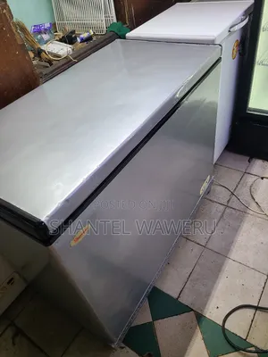 Deep Freezer/ Shop Freezer