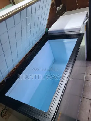 Deep Freezer/ Shop Freezer