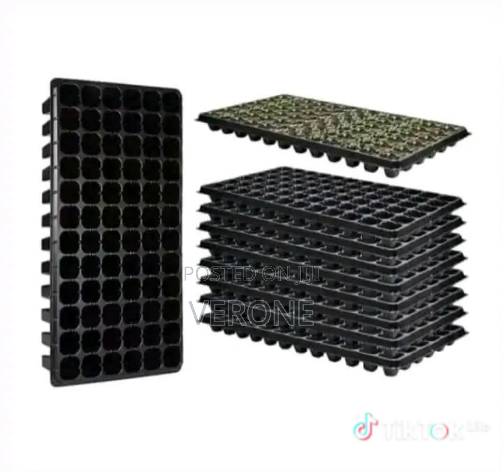 Seedling Trays