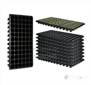 Seedling Trays