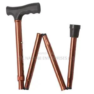 Foldable Walking Stick (Cm008-1)