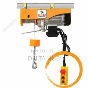 Powerful 1-ton Electric Hoist- The Best