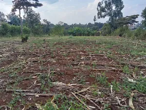 Prime Quarter Acre (0.104ha) in Olkeri, Ngong