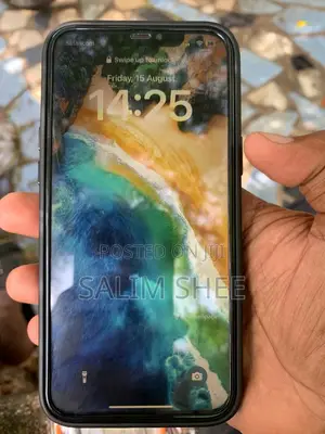 Apple iPhone 12 Pro Max 128 GB Gray
