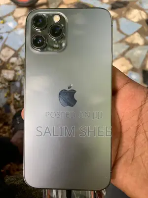 Apple iPhone 12 Pro Max 128 GB Gray