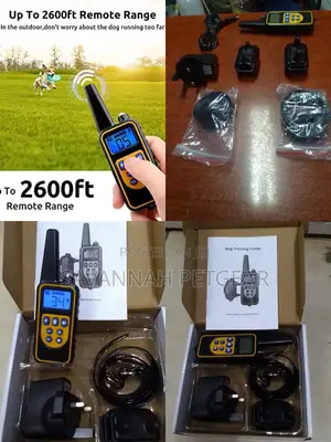 Rechargeable Dog Shock Collar With 3 Training Modes - 1 Collar